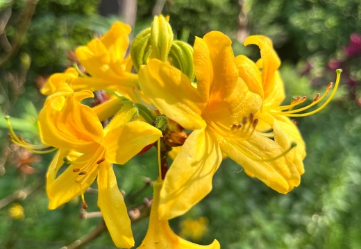 23-06-03 16-52-18 5805